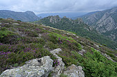 View of the Rocs du Caroux and de la Siejo, Tour du Caroux Massif du Caroux et de l'Espinou, Hérault, France