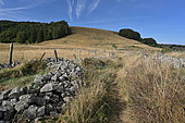 Start of Sentier découverte, tour du lac des Salhiens Parc Naturel Régional de l'Aubrac, Lozère, France