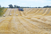 Baling straw rolls in a field after wheat harvest, Auvergne, France