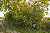 A private individual's sign warning the commune not to mulch his hedge, Auvergne, France