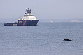 Migrant boat trying to cross the Channel, with the tug Abeille Normandie and the English coast in the background, Sangatte, Pas-de-Calais, Côte d'Opale, France