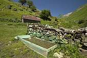 Footbath with copper sulphate for livestock, Estérençuby, Pyrénées-Atlantiques, France
