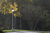Autumn rain in a park. Domaine du Charmois in Vandoeuvre-les-nancy