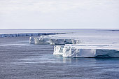 Ross ice-shelf, Ross sea, Antractica