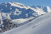 Skier, Aiguille rouge, les ARCS, Tarantaise, Savoie, Alpes, France