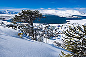 skieur devant un lac, caviahue, Patagonie, Argentine
