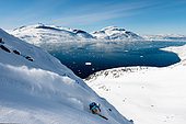 Skier in Nuuk fjord, Greenland