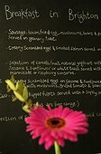 UK/England, Brighton. Brighton, beakfast menu