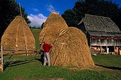 Montenegro/Durmitor. Durmitor mountains, haystacks