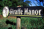 Kenya, région de Nairobi, le Manoir aux Girafes