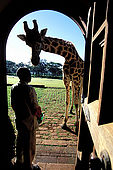 Kenya, région de Nairobi, le Manoir aux Girafes