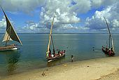 Kenya Lamu archipelago Pate island Mtangawada beach