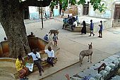 Kenya Lamu archipelago Lamu town Main square Mkunguni