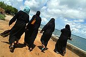 Kenya Lamu archipelago Lamu town