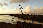 Kenya Lamu archipelago Pate island