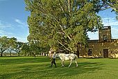Uruguay, pampa, Mercedes, estancia Sirena