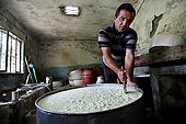 Mr. Foti Meshini makes Feta cheese out of local sheep and goat fresh milk, village of Kosova, Province of Permet, Albania
