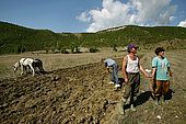 A family of farmers having a break, Valley of Permet, Albania