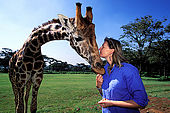 Kenya, region de Nairobi, le Manoir aux Girafes de Bryony Anderson (qui veut sauver les girafes de Rotschild). Bryony avec Uhuru