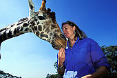 Kenya, region de Nairobi, le Manoir aux Girafes de Bryony Anderson (qui veut sauver les girafes de Rotschild). Bryony avec Uhuru