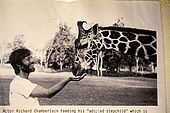 Kenya, region de Nairobi, le Manoir aux Girafes, ou Bryony et Rick Anderson veulent sauver un groupe de girafes de Rotschild. L'acteur américain Richard Chamberlain, de passage au Manoir