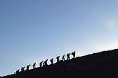 Italy, Sicily, Stromboli island. Ascent to the summit of the volcano