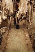 Worker carrying skins across bridge in the tanneries, Fes, Morocco