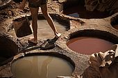 Worker standing between the vats, the tanneries, Fes, Morocco