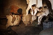 Smoothing the hides, the tanneries, Fes, Morocco