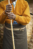 Tea picker holding cane, Tea Factory Hotel plantations, Nuwara Eliya, Central Province, Sri Lanka