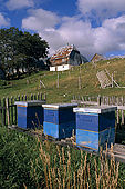 Balkan, Adriatic sea coast    Republic of Montenegro    Mountains of Dormitor    Near Zabljak    Farm Honey