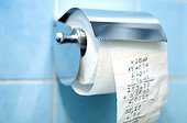 Calculation on a roll of toilet paper