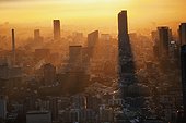 tokyo skyline glowing at dusk; tokyo, japan