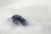 ai-petri mountain on crimea covered in fog