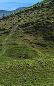 France, Hautes-Pyrénées, col de la Hourquette d'Ancizan (1564 mètres), entre les vallées d'Aure et de Campan, randonnée pédestre