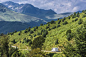 France, Hautes Pyrénées, Col d'Aspin (1489 mètres) entre la Vallée d'Aure et la Vallée de Campan, descente vers Payolle