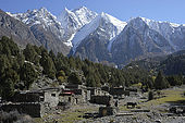 Pakistan, region de Gilgit Baltistan, vallée de Nagar, Minapin, les montagnes enneigées du Rakaposhi dominent le petit hameau de Tagaphari.