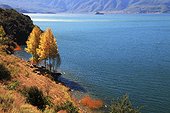 Yunnan, Lijiang, Ninglang, Lugu Lake, Autumn Scenery