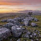 Winskill Stones Nature Reserve and hawthorn at sunset, Yorkshire Dales, Yorkshire, England, United Kingdom, Europe