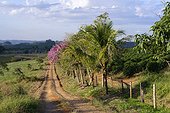 Red soil road, Serra da Canastra landscape, Minas Gerais state, Brazil, South America