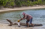 Local man chopping a coconut in the small islets of the natural protected harbor in Wayag Bay, Raja Ampat, Indonesia, Southeast Asia, Asia