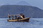 Tuna fisherman retrieving a purse-seine net, Bangka Island, off the northeastern tip of Sulawesi, Indonesia, Southeast Asia, Asia