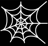 spider net vector