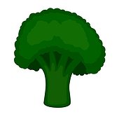 fresh green piece of broccoli