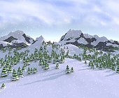 Winter Scene with Pine Trees