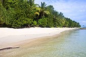 Tropical paradise beach, Beach No.5, Havelock, Andaman Islands, India