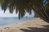 Tropical beach No. 5 on Havelock island (Andaman Islands, India)