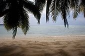 Beach no. 5, Havelock Island, Andaman Islands, India
