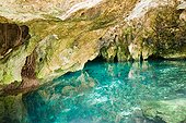 Cave and lagoon, Grande Cenote, Quintana Roo, Tulum, Mexico