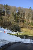 Snow and grass on ski slope